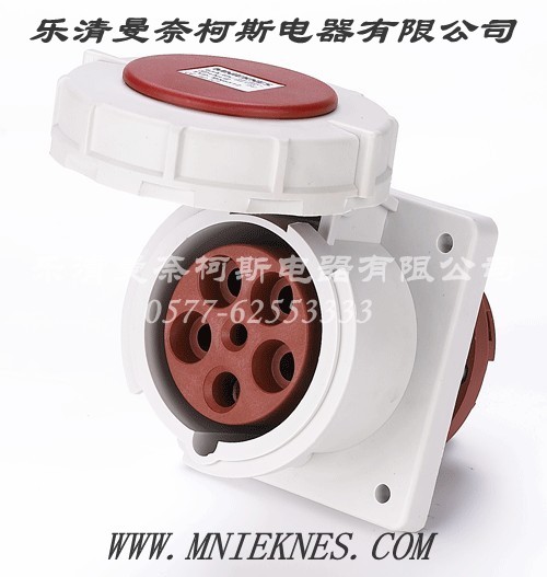 63A SOCKET  3P+PE+N IP67