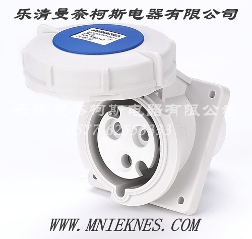 32A 斜座 3P IP67