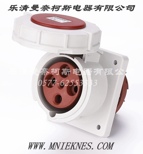 Socket (Surface Type) 63A 3P+PE+N IP67