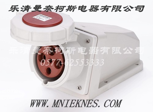 Socket (Surface Type) 63A 3P+PE IP67