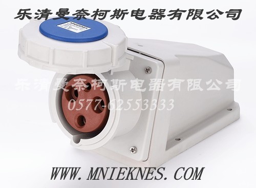 Socket (Surface Type) 63A 2P+PE IP67
