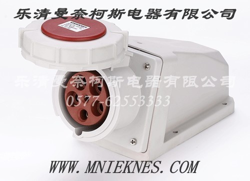 Socket (Surface Type) 63A 2P+PE IP67