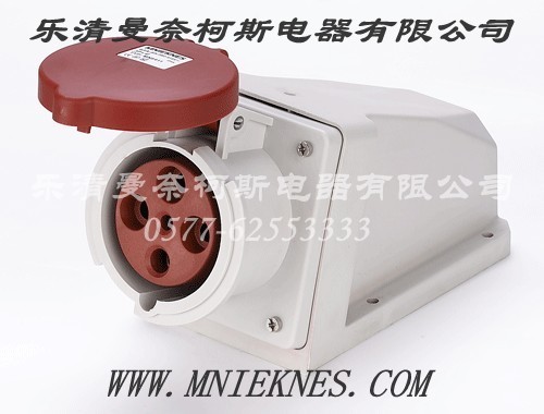 Socket (Surface Type) 63A 3P+PE+N IP44