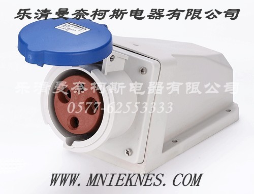 Socket (Surface Type) 63A 3P+PE+N IP44