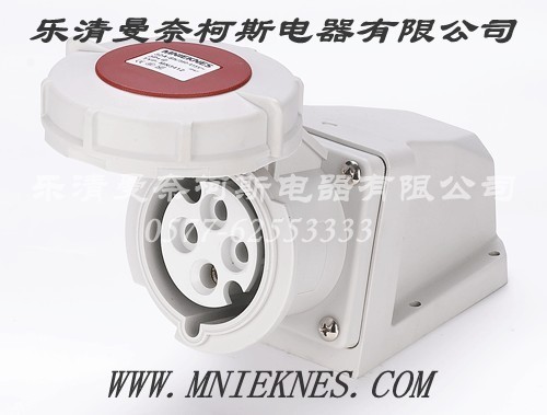 Socket (Surface Type) 32A 2P+PE IP67