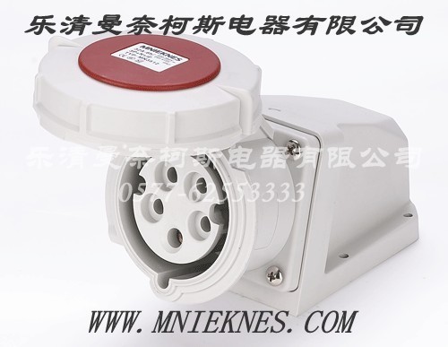 Socket (Surface Type) 32A 2P+PE IP67