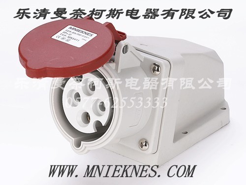 Socket (Surface Type) 32A 2P+PE IP44