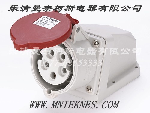 Socket (Surface Type) 32A 2P+PE IP44