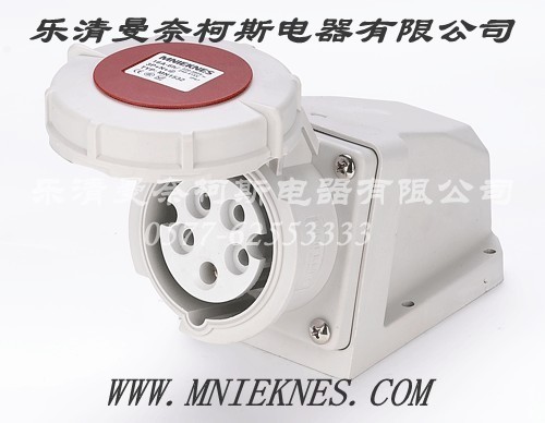 Socket (Surface Type) 16A 3P+PE+N IP67