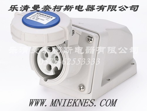 Socket (Surface Type) 16A 3P+PE+N IP67