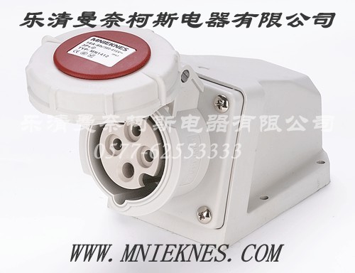 Socket (Surface Type) 16A 3P+PE+N IP67