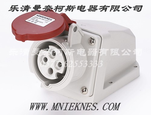 Socket (Surface Type) 16A 3P+PE+N IP44