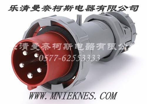 63A PLUGS 2P+PE IP67